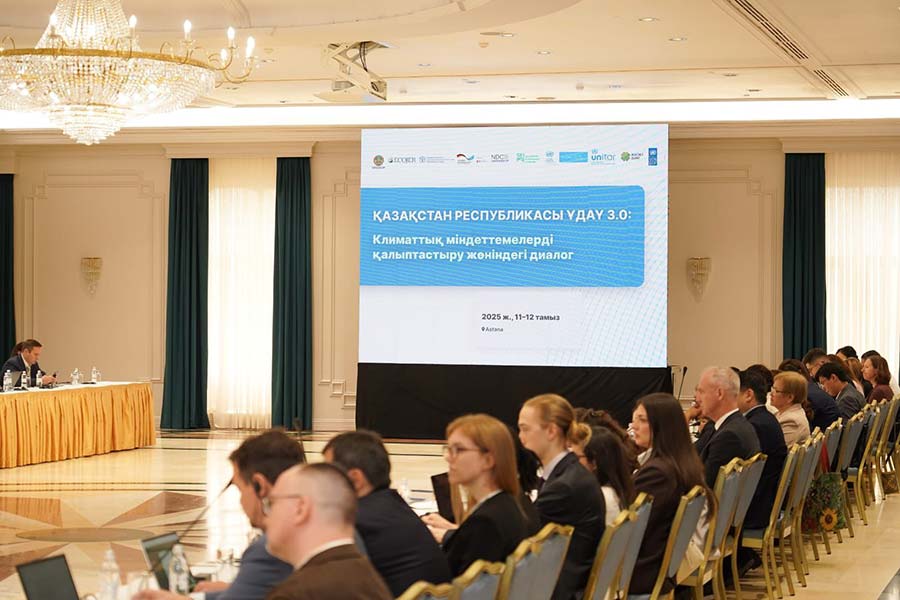 КАЗАХСТАН И МЕЖДУНАРОДНЫЕ ПАРТНЁРЫ УСИЛИВАЮТ КООРДИНАЦИЮ ДЛЯ КЛИМАТИЧЕСКИХ ЦЕЛЕЙ — фото 1