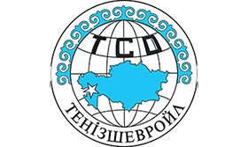 Разработка/актуализация отраслевых рамок квалификаций и профессиональных стандартов в нефтегазовой, нефтеперерабатывающей и нефтегазохимической отраслях
